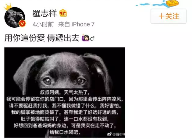 罗志祥呼吁大家帮助流浪动物顺利度过闷热的伏天
