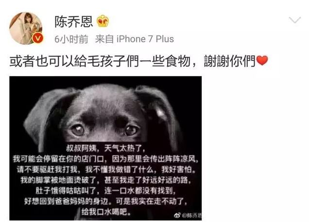 陈乔恩呼吁大家帮助流浪动物顺利度过闷热的伏天