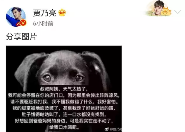 贾乃亮呼吁大家帮助流浪动物顺利度过闷热的伏天