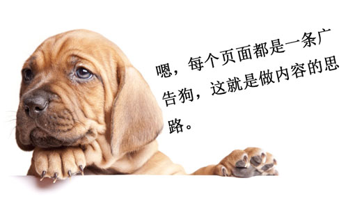 不以营销为目的的内容都是耍流氓