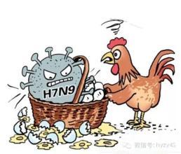 北京市首例H7N9患者确认 正在接受治疗