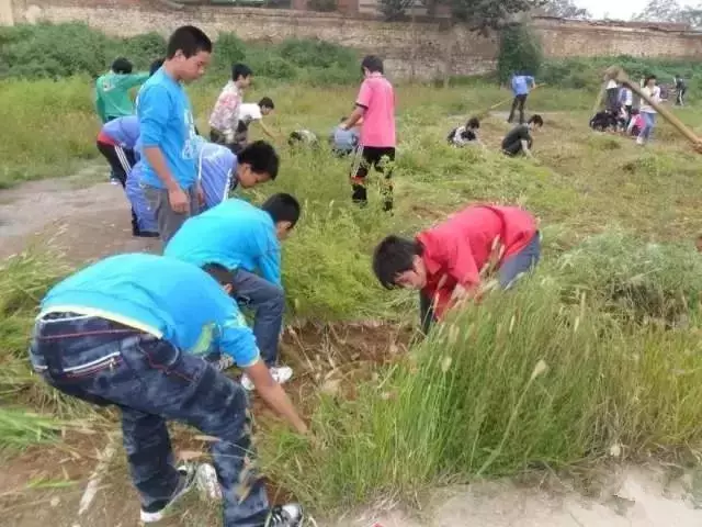 70、80、90暑期开学除草