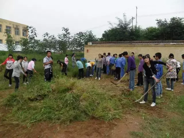 70、80、90暑期开学除草
