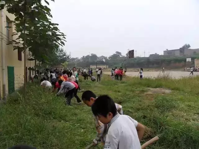 70、80、90暑期开学除草
