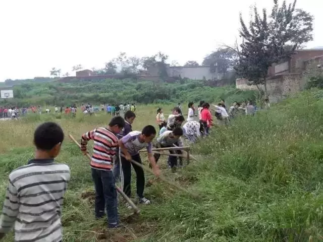 70、80、90暑期开学除草